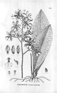 n402_w1150