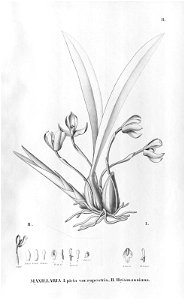 n115_w1150