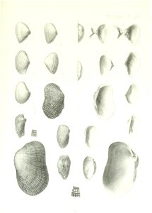 n228_w1150