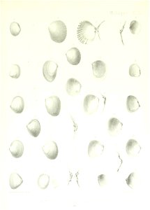 n198_w1150