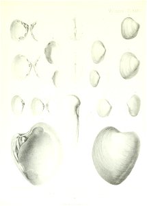 n168_w1150