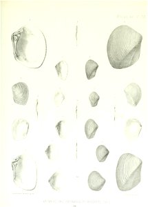 n138_w1150