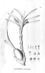 n129_w1150