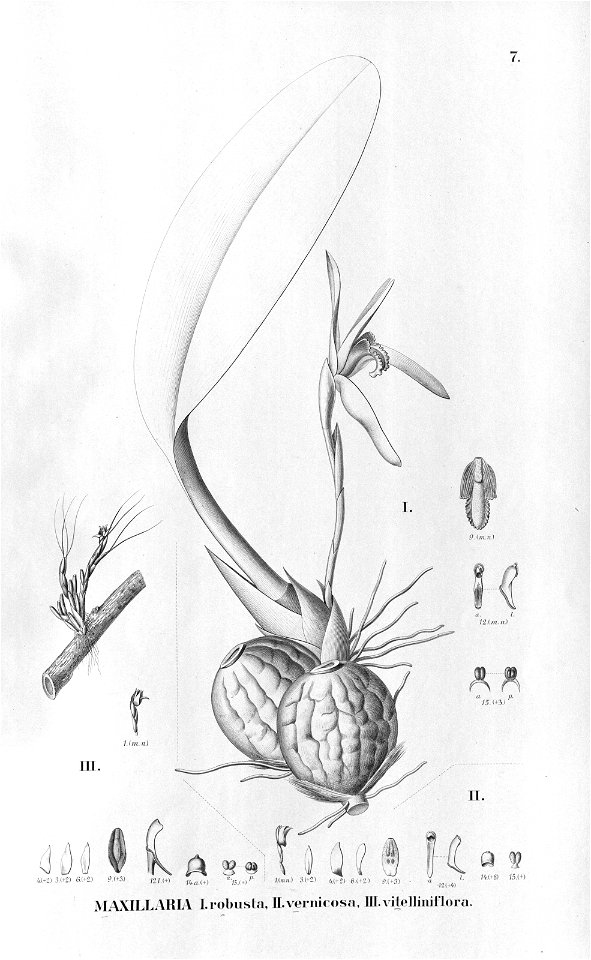 n114_w1150