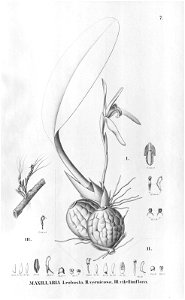 n114_w1150
