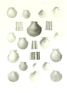 n256_w1150
