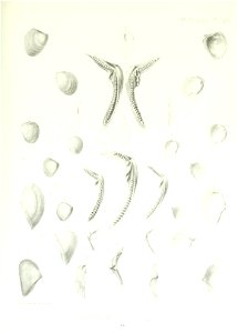 n226_w1150