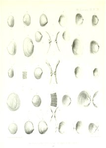 n196_w1150