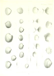 n166_w1150
