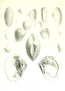 n136_w1150