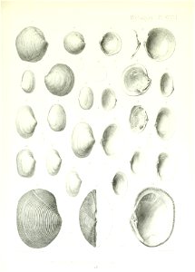 n194_w1150