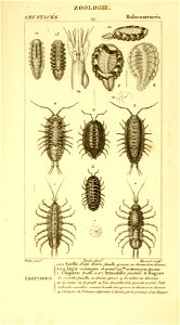 n583_w1150