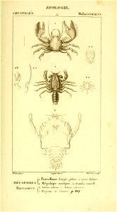 n552_w1150