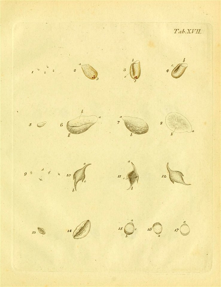 n468_w1150