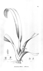n119_w1150