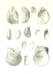 n266_w1150