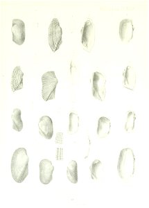 n236_w1150