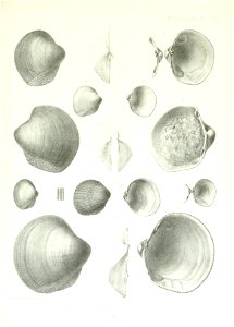 n206_w1150