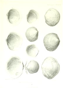 n176_w1150