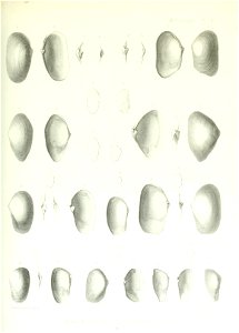 n112_w1150