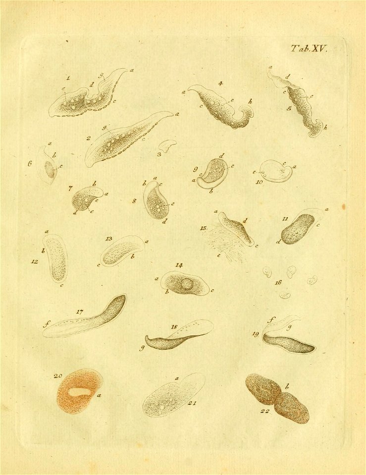 n464_w1150