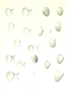 n172_w1150