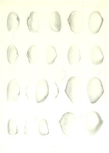 n142_w1150