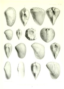 n108_w1150