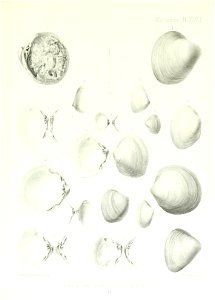 n170_w1150