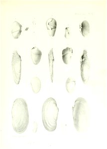 n102_w1150