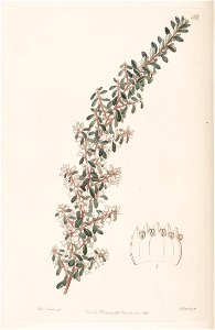 n171_w1150