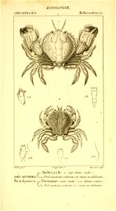 n492_w1150