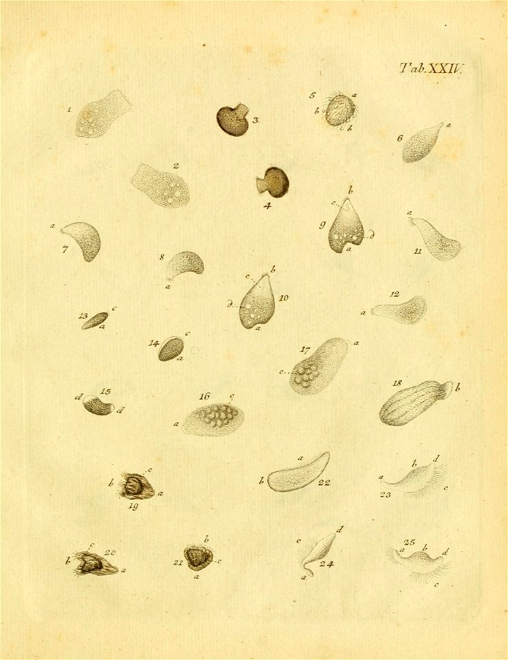 n482_w1150