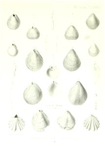 n270_w1150