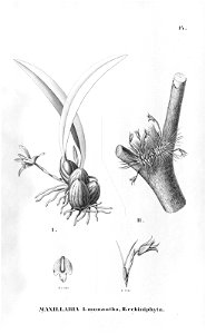 n121_w1150