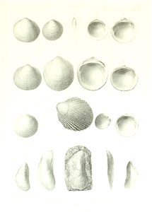 n240_w1150