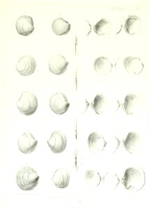 n180_w1150