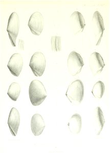 n150_w1150