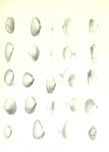 n118_w1150