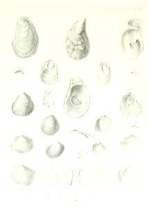 n268_w1150