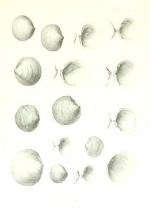 n178_w1150