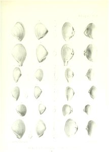 n114_w1150