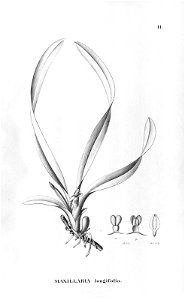 n118_w1150