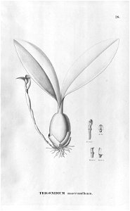 n133_w1150