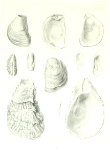 n264_w1150