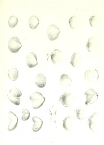 n204_w1150