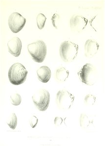 n174_w1150