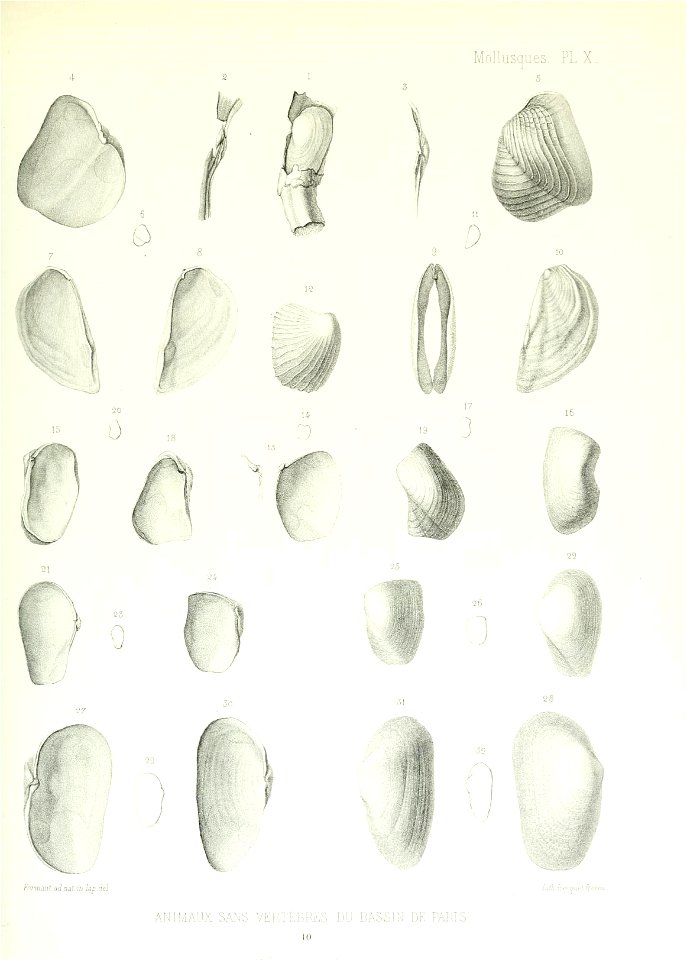n110_w1150
