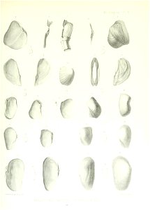 n110_w1150