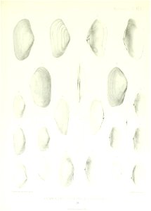 n144_w1150
